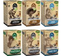 SUPER MEGA SELECTION BOX CAFFÈ - CAFÉI 600 capsules de café pour machines à capsules Nespresso®³ I 100% compostable industriellement 6x100 capsules de café