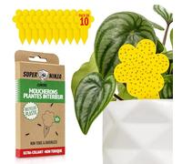 Super Ninja Piège à Moucherons de Terreau, Lot de 10, Anti Moucherons Interieur Plantes Ultra Efficace, Piège Jaune Collant Plante, Attrape Mouches Non Toxique, Éco, Jusqu’à 3 Mois