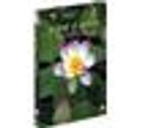 Super plantes (coffret 2 dvd) E
