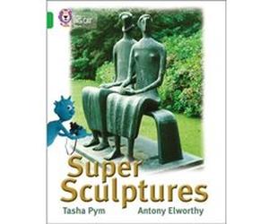 Super Sculptures by Tasha Pym Collins Big Cat (Auteur)
