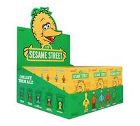 Super7 Sesame Street Blind Box Wave 05 (Big Birds from Around The World) - Blind Box Flat Action Figure