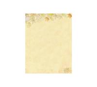 Superbes papiers. Crypy Fall 2019089 Boîte de 80 lettres Motif feuilles d'automne 21,6 x 27,9 cm