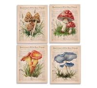 SUPERDANT 4Pcs Affiche Decoration Murale Représentant des Champignons Colorés Style Poster Mural Journal Sans Cadre Tableaux, Posters et Arts Décoratifs