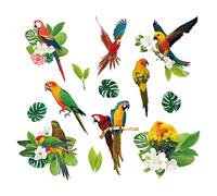 SUPERDANT Plantes Tropicales Perroquet Stickers Muraux Feuille Verte Oiseaux Aquarelle Fleur Vinyle Sticker Mural pour Enfants Pépinière Chambre Salon DIY Art Home Decor Autocollants Décoratifs