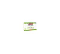 Super Diet Draineur Quatuor Pissenlit Bio – 20 ampoules de 15 ml