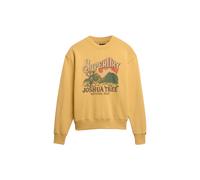 Superdry & Co Sweat-shirt citron / vert / rouge / noir, Taille XL