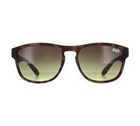 Superdry Lunettes de Soleil Rockstar 170A Marron