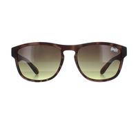 Superdry Lunettes de Soleil Rockstar 170A Marron