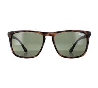 Superdry Lunettes de Soleil Shockwave 102 Satin Pointillé Havane Vert