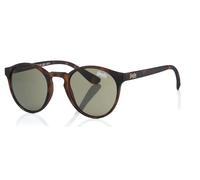 Superdry Saratoga 102 Gafas de Sol