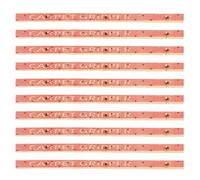 SUPERFINDINGS 10 pièce de Bandes de Fixation pour Tapis avec Clous Bande de Clouage en Contreplaqué pour Tapis Tufting Bandes de Fixation avec Clous pour sous Plancher Escaliers Tapis