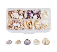 SUPERFINDINGS 5 Styles Perles de Coquillages Naturels Non Percés Ocean Beach Coquillages en Spirale Décorations No Hole Coquillages Miniatures pour Vase Fille Beach Theme Party DIY Craft