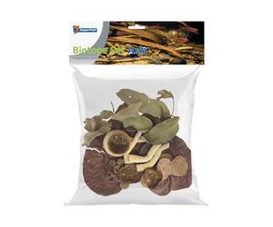 Superfish Biotope Set Asia