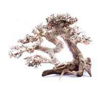 Superfish Bois flotté Naturel pour bonsaï 23 x 12 x 15 cm