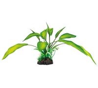 SUPERFISH-Plante artificielle pour aquarium ou terrarium coloris vert Cryptocoryne SuperFish Art Plant M - 25 cm