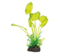 SUPERFISH-Plante artificielle pour aquarium ou terrarium coloris vert Echinodorus SuperFish Art Plant M - 25 cm