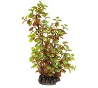 SUPERFISH-Plante artificielle pour aquarium ou terrarium coloris vert Rotala SuperFish Art Plant M - 25 cm