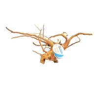 SUPERFISH-Racine-araignée de taille médium 30 à 40 cm