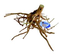 SUPERFISH-Racine Araignée L Bois 40x30x20 cm