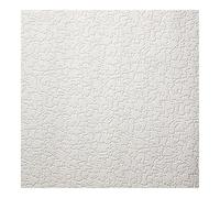 Superfresco Easy Papier peint à peindre structuré crépi neigeux 1000 x 53cm Blanc | Revêtement Mural, Tapisserie | Ambiance