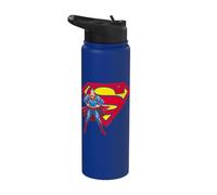 Superman Superman & Logo Stainless Steel Insulated Water Bottle