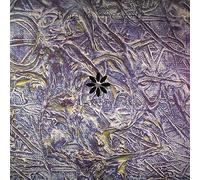 Supermen Lovers - Born To Love You