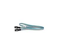 Supermicro mini SAS/mini SAS 0,2 m Noir et Bleu