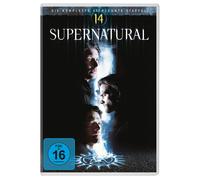 Supernatural - Die komplette vierzehnte Staffel (DVD)