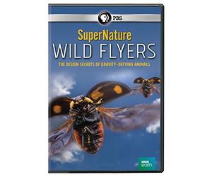 Supernature: Wild Flyers