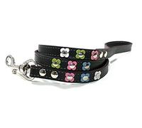 Superpipapo Laisse en Cuir de 108 cm pour Chien Petit ou Moyen a Jeux avec Collier ou Harnais - Fleurs Vintage Rose Blanc Bleu Vert Pastel