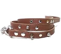 Superpipapo Laisse pour Chien Petit ou Moyen de 108 cm a Jeux avec Collier ou Harnais - Cuir Marron
