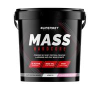 Superset Nutrition | Mass Hardcore (4,5kg) | Gainers | Gainer enrichi en whey + créatine - Strawberry Ice Cream