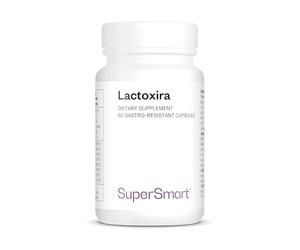 Supersmart - Lactoxira - Micro-Organismes Dont Lactobacillus Casei & Bifidobacterium Longum - Contribue à Supprimer les Troubles de l'Humeur | Sans OGM - 60 Capsules DR