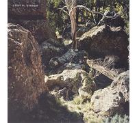 Superstar - A Toast to