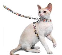 Supet Cat -Kabelbaum und Leine entkommen Beweis für Kleine große Katzen, verstellbare Katzenkragen und Leinen für Gehen, leichtes Kätzchenkabelbaum