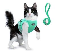Supet Ensemble Harnais et Laisse pour Chat - Gilet en Maille Souple réglable avec Sangle réfléchissante pour Promener Chat, Chiot et Lapin