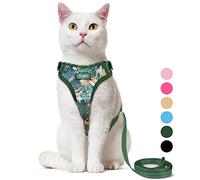 Supet Harnais et Laisse Anti-Fugue pour la Promenade, Gilet réglable et Laisse pour Chat de Grande et Petite Taille