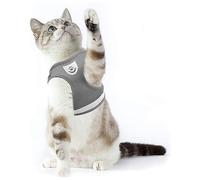 Supet Harnais pour Chat avec Laisse Gilet Réfléchissant en Nylon Souple pour Chien Chiot pour Laisser Courir des Laisses de Formation Convenant aux Chats, aux Chiots et aux Petits Animaux Domestiques