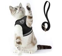 Supet Harnais pour Chat avec Laisse Gilet Réfléchissant en Nylon Souple pour Chien Chiot pour Laisser Courir des Laisses de Formation Convenant aux Chats, aux Chiots et aux Petits Animaux Domestiques
