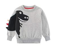 SUPFANS Pull en coton T-Rex à manches longues pour garçon Motif dinosaures mignons, Gris (01), 5 ans