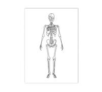 Supkan bstrait Cerveau dent Impression Toile Peinture Anatomie Squelette Humain Affiche médecine Mur Art Photos Clinique médecin Bureau décor(H,A2 42x60cm No Frame)