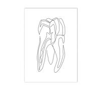Supkan bstrait Cerveau dent Impression Toile Peinture Anatomie Squelette Humain Affiche médecine Mur Art Photos Clinique médecin Bureau(C,10x15cm No Frame)
