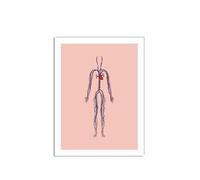 Supkan bstrait Corps Humain Anatomie Muscles Mur Art Toile Peinture Nordique Affiches et Impressions Photos murales for médecin Bureau décor(A,60X80 cm No Framed)