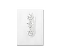 Supkan bstrait Ligne Dents Moderne Clinique Dentaire Mur Art Toile Peinture Affiches et Impressions Photo Dentiste Bureau décor esthétique(Picture E,21X30cm No Frame)