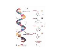 Supkan DN Code génétique Aquarelle Affiche Ensemble Arbre Bureau Decor Science Art Mural biologie Cercle Chimie(4,30x40cm Canvas)