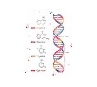 Supkan DN Code génétique Aquarelle Affiche Ensemble Arbre Bureau Decor Science Art Mural biologie Cercle Chimie(1,10x15cm Canvas)