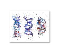 Supkan DN Humain et ARN Toile Impression Science Affiche biologie Mur Art Photo Code génétique Chimie Peinture Professeur Cadeaux dortoir décor(5,13x18 cm No Frame)
