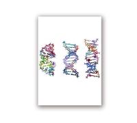 Supkan DN Humain et ARN Toile Impression Science Affiche biologie Mur Art Photo Code génétique Chimie Peinture Professeur Cadeaux dortoir décor(3,30x42cm No Frame)