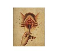 Supkan ffiche des Femmes génitales d'anatomie, Chirurgie Anatomy Système reproducteur Impression gynécologie Art Illustration Medical Clinic Decorati(1,20x25cm Canvas)