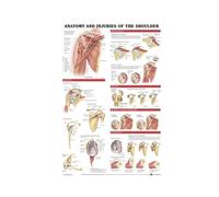 Supkan ffiche et Impressions Anatomie Corps Humain Colonne vertébrale médicale Articulation du Genou Pied Peinture Art Mur Photos for Salon décor à la Maison(02,24x36 inch No Frame)